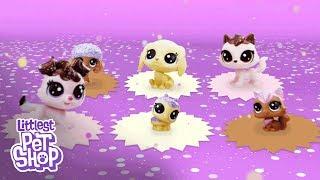 Littlest Pet Shop España - ¡Nueva colección Dulce!