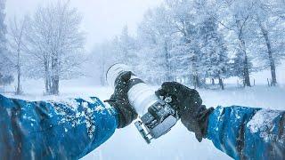 Relaxing POV Winter Forest Photography