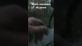 Опять поклевка на быстрой речке на фидер #verguntv #рыбалка #fishing #фидер #лещ #речка #инлайн