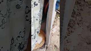 самый настоящий огород центр в городе