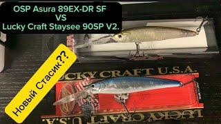 Стасик, ты? Воблер Lucky Craft Staysee 90SP V2. И OSP Asura 89EX-DR SF