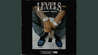 Levels (feat. Sunny Malton)