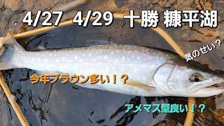 北海道 十勝 糠平湖 4/27＆4/29