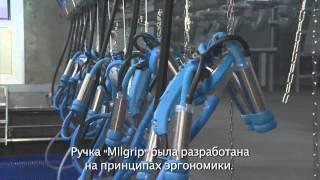 Доильный зал ПАРАЛЛЕЛЬ от Milkline - Ваша корова достойна лучшего!