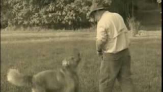 What a Friend We Have in Jesus BUDDY DAVIS Music Video
