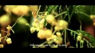 We are animals -  Somos animales  de Tommy Plesky