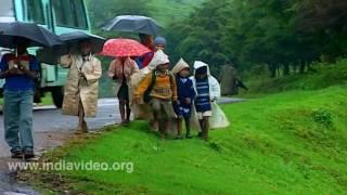 Rhapsody of Rain Monsoon Kerala