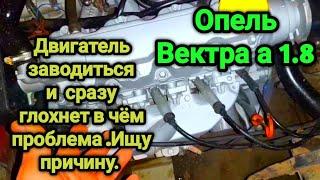 Двигатель  заводиться  и  сразу глохнет в чём проблема .Ищу причину. Опель Вектра а 1.8