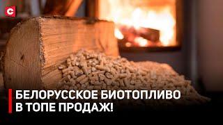 Альтернатива газу и нефти! | Как используют пеллеты для отопления? | Секреты производства биотоплива