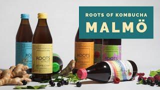 Roots of Malmö - Kombucha