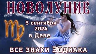 НОВОЛУНИЕ 3 СЕНТЯБРЯ В ДЕВЕЧТО ПРИНЕСЁТ  ВСЕМ ЗНАКАМ ЗОДИАКАNEW MOON SEPTEMBER 3 IN VIRGO