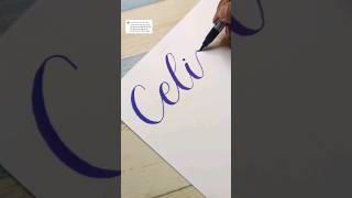 Request name in Calligraphy #diywithritz #calligraphyart #brushpen#diy#art #brushcalligraphy#artist