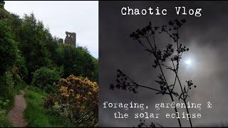 Foraging, gardening & the solar eclipse (chaotic vlog)