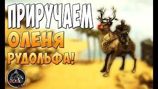 Приручение Летающего Оленя!  - Ark Survival Evolved Extinction Core #14