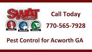 Acworth GA Pest Control Service by the Pros at SWAT Services - 770-565-7928