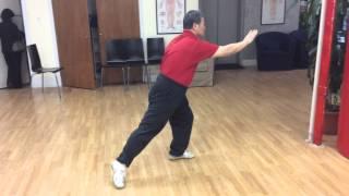 Yang Fukui demonstrates "13 Original Postures" of Yang Cheng Fu