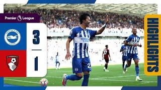 PL Highlights: Brighton 3 Bournemouth 1