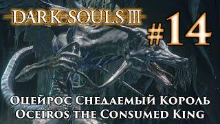 Оцейрос Снедаемый Король: Dark Souls 3 / Дарк Соулс 3 - тактика как убить, как победить босса ДС3