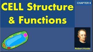 Cell structure and function - CBSE Class 8 Chapter 8 explanation and question answers