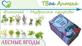 Фиточай Мудрость природы ЛЕСНЫЕ ЯГОДЫ - показания, описание, отзывы