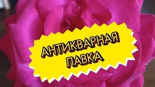 АНТИКВАРНАЯ ЛАВКА АНТИКВАРНЫЙ И ВИНТАЖНЫЙ ФАРФОР