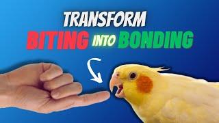 Transform Biting into Bonding: Building a Happy & Bite-Free Bird Relationship | COMPILATION