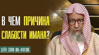 Шейх Салих аль Фаузан. В чем причина слабости имана (веры)?