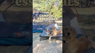 MUST HAVES WHEN CAMPING WITH DOGS ️ #camping #doglove #dogcamping