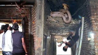 बाप रे बाप ऐसी जगह छुपा था, जहरीला नाग फिर क्या हुआ, देखिए आगे।  Rescue (venomous) cobra snake