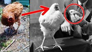 Top 10 Animals That Can Live Past Death