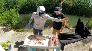 Iron Chef Challenge | Harvest Clean Cook | Secret Ingredients