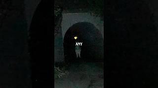 I Found Bunnyman