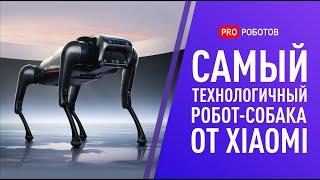 Распаковка, полный обзор и реальные тесты нового робота CyberDog от Xiaomi