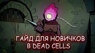 Dead Cells гайд для новичков