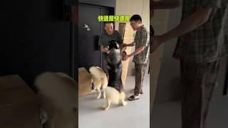 哈哈：土全刨老登身上埋汰他 不拆：邊泡腳邊等爹真得勁~ #二哈