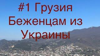 Беженцы из Украины в Грузии/ куда можно обратиться