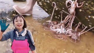 Xiao Zhang rushed to the sea and the octopus nest was found! The final reward is unexpected!