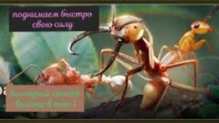 the ants underground kingdom как быстро поднять свою силу. быстрая прокачка.