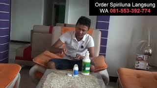 "Cara Pemakaian Masker Spirulina" HERI DWI PURNOMO WA 081-553-392-774