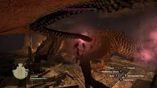 Dragon Dogma Странник или Ассасин что лучше?