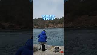낚시하는 남자 #통영낚시 #낚시 #여행 #금손 #통영