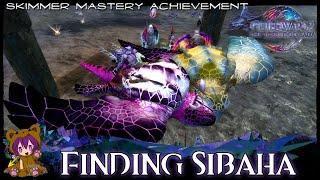 GW2 - Finding Sibaha achievement (Skimmer Mastery)