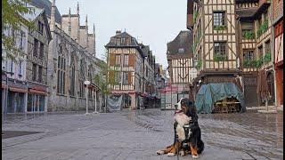 Early morning walk in Troyes, France with a Bernese Mountain Dog as a guide