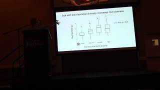 Oak regeneration after Chimney Tops II fire | Alexandra Scearce & Alex Swystun