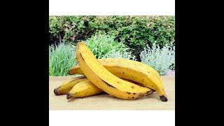 Comment faire mûrir facilement et rapidement sa banane plantain