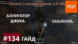 #134 АЛЛИГАТОР ДЖЕКА, СКАЛОЗУБ. Готика 2 возвращение 2.0 Альтернативный Баланс, ВСЕ КВЕСТЫ, Сантей.