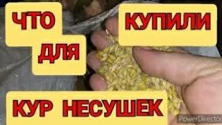 Ячмень для Кур Несушек//Цены на Корма для Кур//Обычное Утро // Хозяйство, Огород.