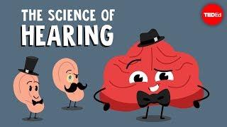 The science of hearing - Douglas L. Oliver