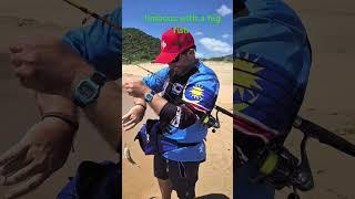 Ultralight fishing stlucia #fish #fishing #fishinglife #fishingfun #fishingtiktoks #fishingvideos