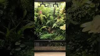 Система опрыскивания Mius Mini  #florarium #terrarium #vivarium #mius #shorts #travarium